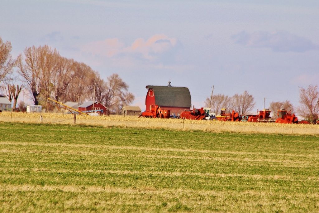 Barn